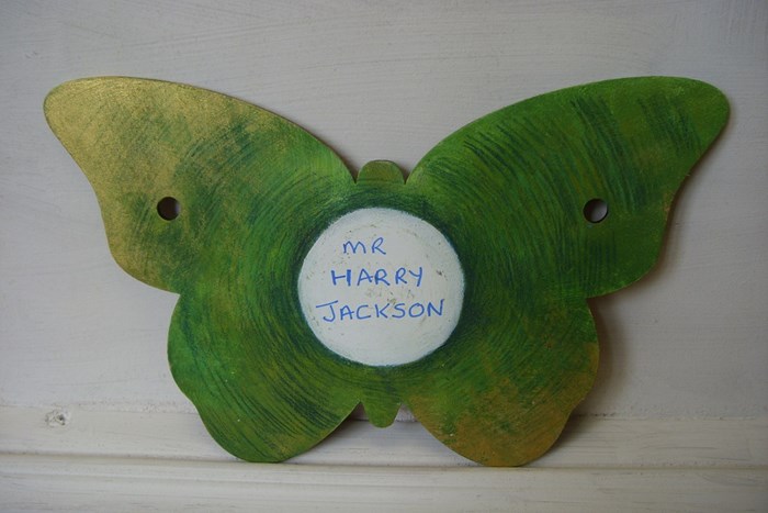 Mr Harry Jackson